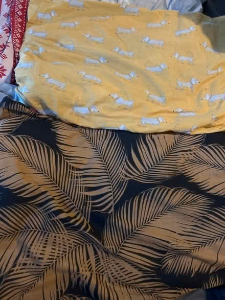Photo of free 5 sets double bedding (Chessington KT9) #2
