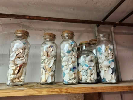 Photo of free Glass jars with shells & sea glass (West Concord MA) #1