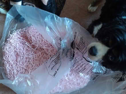 Photo of free Pink Packing material (Malvern Link WR14) #1