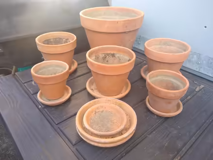 Photo of free Clay planter pots (Morris Park) #1