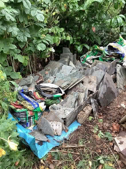 Photo of free Job lot of mixed slate for the garden (Oxhey Hall WD19) #3