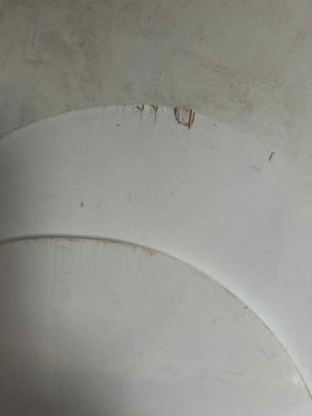 Photo of free Beach bats (Potters Bar) #3