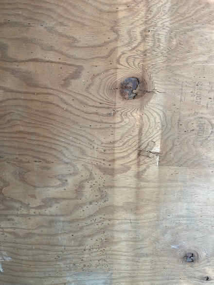 Photo of free 4’ x 8’ plywood (Maple Leaf) #2