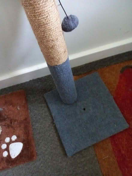 Photo of free CAT scratch posts (shobdon HR6) #1