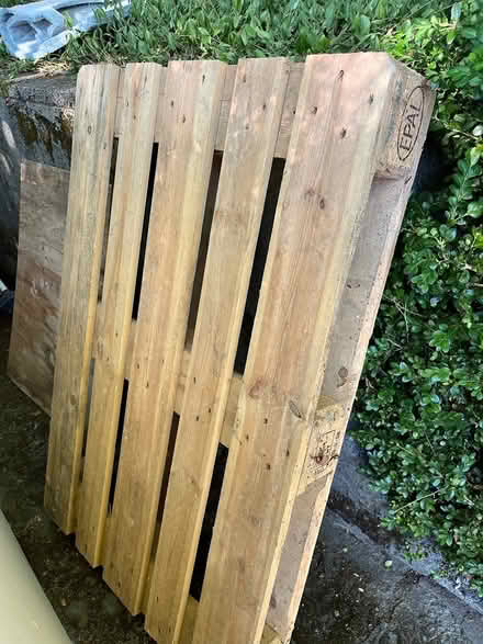 Photo of free Very sturdy wooden pallet (Maple Leaf) #1