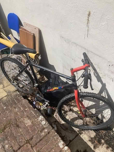Photo of free Bicycle (Eastbourne BN21) #1