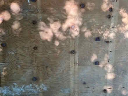 Photo of free 4’ x 8’ plywood (Maple Leaf) #3