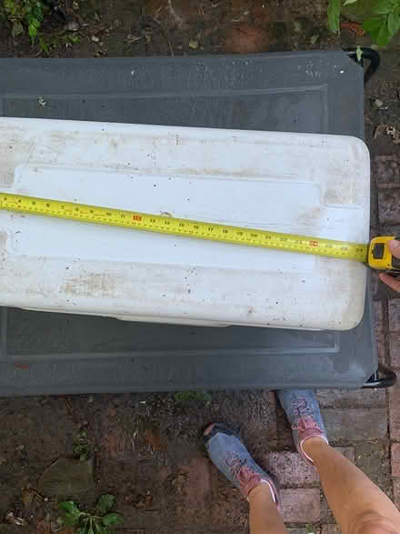 Photo of free Large Coleman cooler (Downtown Toronto) #3