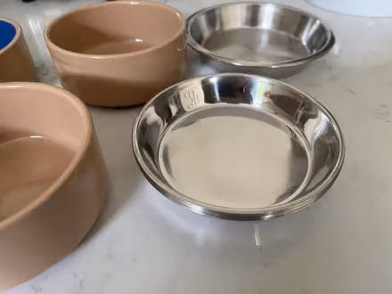 Photo of free Cat bowls (St Margarets TW1) #3