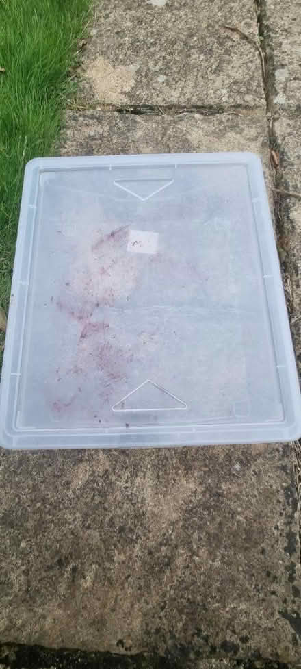 Photo of free 9 Litre "shirt box" with lid (Bladon OX20) #2