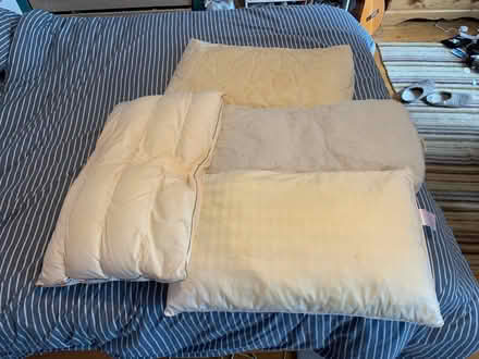 Photo of free Old pillows x4 (BS5) #1