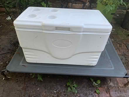 Photo of free Large Coleman cooler (Downtown Toronto) #1