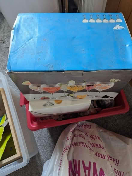 Photo of free glasses (Culcheth WA3) #1