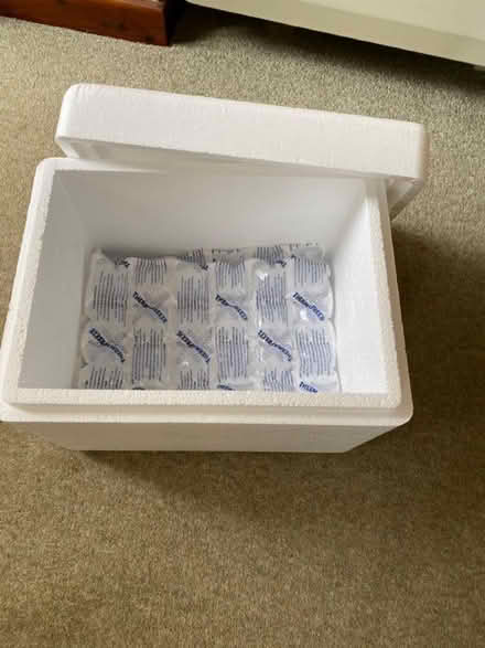 Photo of free Polystyrene Cool Box with ice mats (Caton LA2) #1