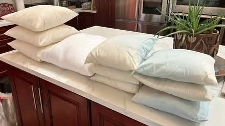 Photo of free Throw Pillow Inserts (Henderson) #1