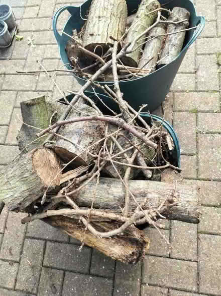 Photo of free Logs (Southcote RG1) #1