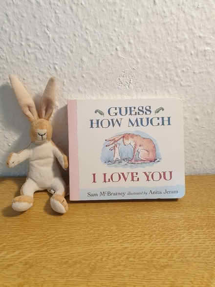 Photo of free Book and matching toy (Neithrop OX16) #1