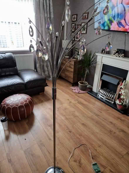Photo of free Tear drop floor lamp (Larches) #1