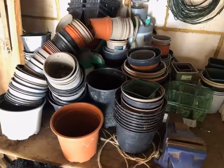 Photo of free Plant pots (Peppard Common RG9) #2