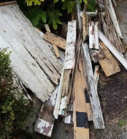 Photo of free Fire wood / kindling (Penzance TR18) #1