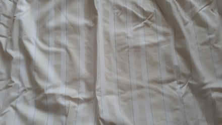 Photo of free pair of curtains (Ringmer BN8) #1