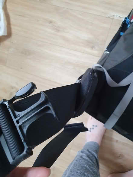 Photo of free Littlelife baby carrier (Owlthorpe S20) #3