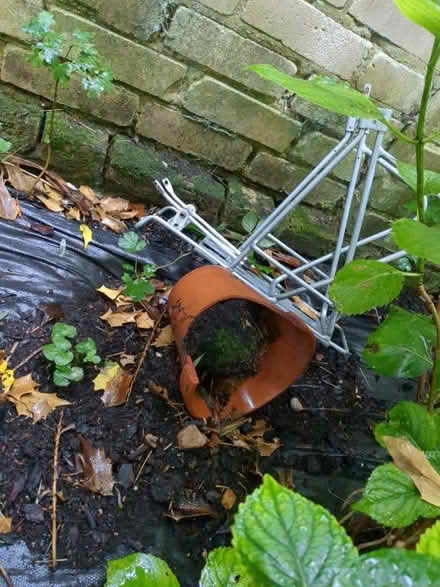 Photo of free Pannier rack (Upper clapton) #1
