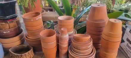 Photo of free Pots Galore (Hayward Hills) #2