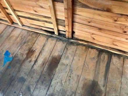 Photo of free 12 x 6 foot pentland wooden shed (Eversley RG40) #3