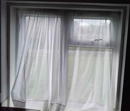 Photo of free 3 translucent curtains + wire (Harborne B17) #3