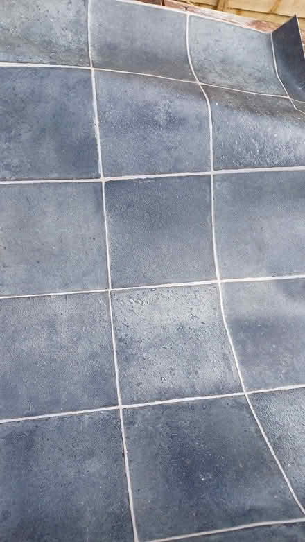 Photo of free Grey lino (Portchester PO16) #1