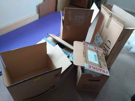 Photo of free Cardboard boxes (Petersfield, GU32) #1