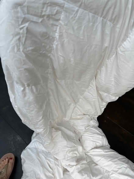 Photo of free Warm single duvet (Maidenhead SL6 4) #1