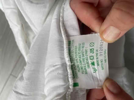 Photo of free Double quilt (Castleham TN37) #2