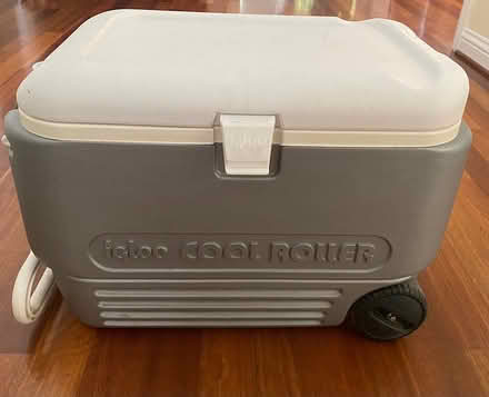 Photo of free Igloo Cooler (Near Rancho San Antonio Park) #1