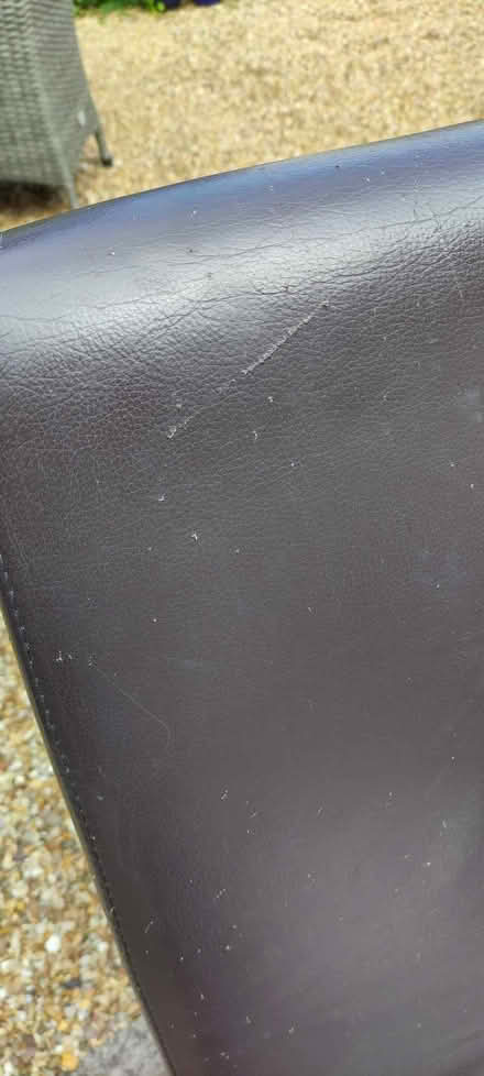 Photo of free 4 Dining Chairs (Kimberley NG16) #3