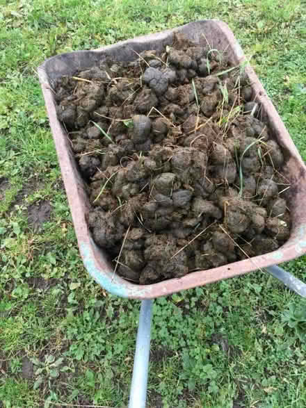 Photo of free Horse manure rotted for 6/8 months (Horsforth LS18) #1