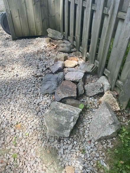 Photo of free Decorative Rocks (Ardmore, pa) #1