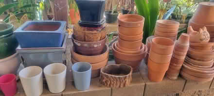 Photo of free More pots (Hayward Hills) #2