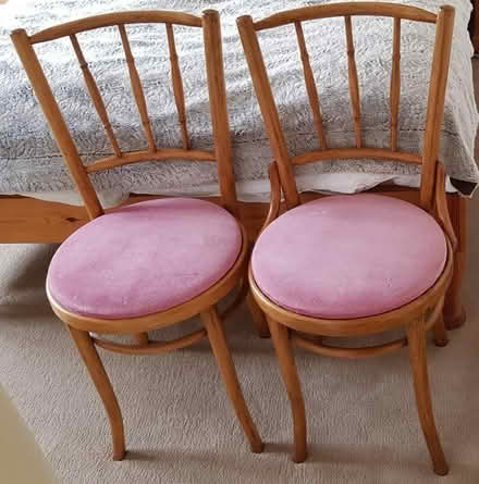 Photo of free Two Pink Bedroom/Dining Room Chairs (Bystock EX8) #1