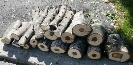 Photo of free firewood (Viewmount/Merivale area) #1