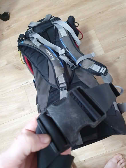Photo of free Littlelife baby carrier (Owlthorpe S20) #2