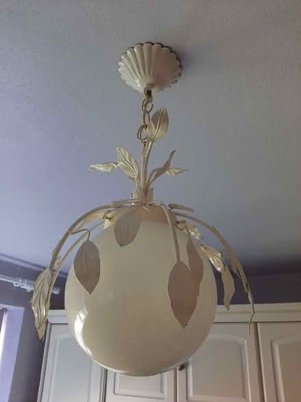 Photo of free Light fitting (Monkspath B90) #1
