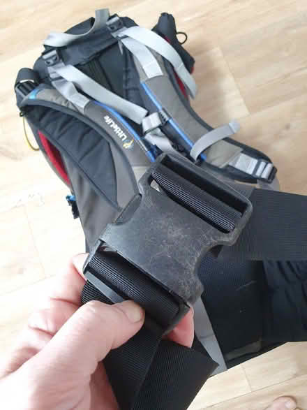 Photo of free Littlelife baby carrier (Owlthorpe S20) #1