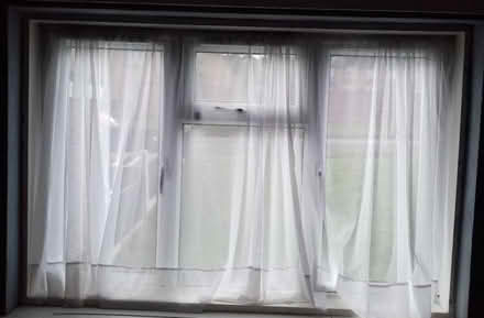 Photo of free 3 translucent curtains + wire (Harborne B17) #2