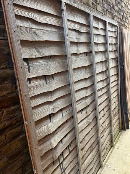 Photo of free 6x6ft Lap Fence Panels (BR3 Beckenham/Penge) #1