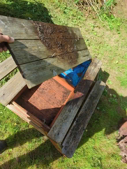 Photo of free Kids bench small (SO15 Southampton) #2