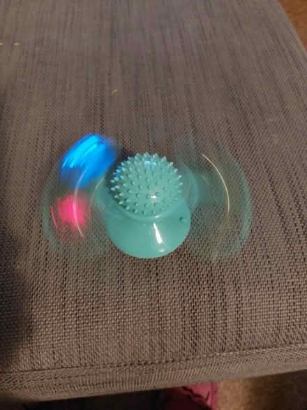 Photo of free Cat/kitten toy (Cosham) #2