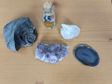 Photo of free Rocks and fossil (Kingsholm GL1) #1