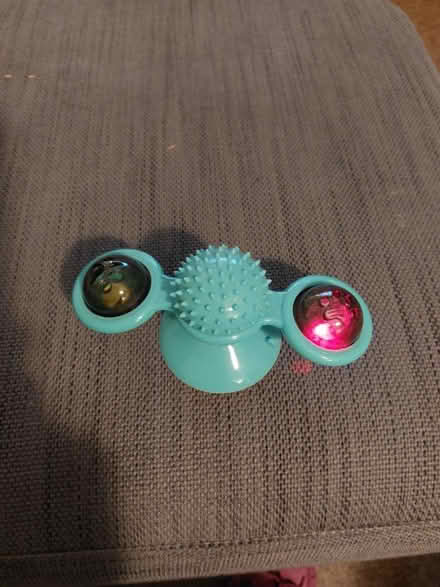Photo of free Cat/kitten toy (Cosham) #1